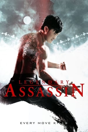Legendary Assassin (2008) Hindi Dual Audio BluRay [1GB]