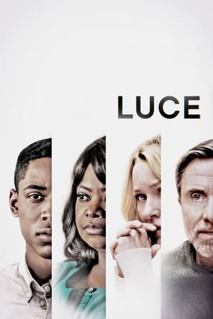 Luce 2019 Hindi Dual Audio Web-DL [1GB]