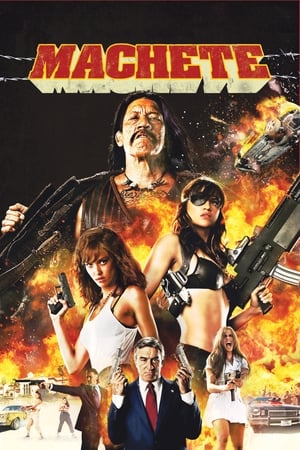 Machete 2010 Hindi Dual Audio BluRay 300MB