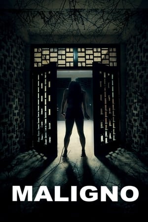 Maligno (2016) Hindi Dual Audio Web-DL [1.2GB]