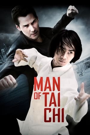 Man of Tai Chi (2013) Hindi Dual Audio HDRip – 480p