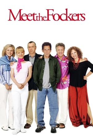 Meet the Fockers (2004) Hindi Dual Audio BluRay [1.1GB]
