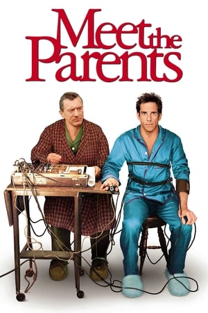 Meet the Parents 2000 Hindi Dual Audio BluRay 350MB