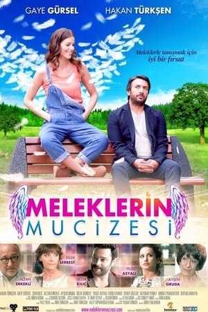 Meleklerin mucizesi (2014) Hindi Dual Audio Web-DL [600MB]