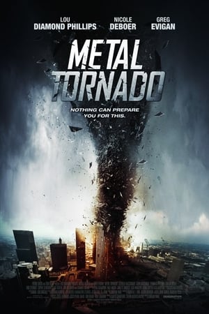 Metal Tornado 2011 Hindi Dual Audio BluRay 300MB