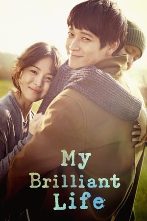 My Brilliant Life (2014) Hindi Dual Audio HDRip – 720p – 480p