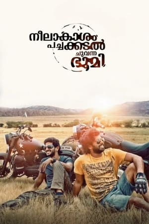 Neelakasham Pachakadal Chuvanna Bhoomi (2013) Hindi Dubbed HDRip [1.4GB]