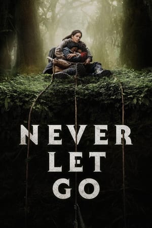Never Let Go 2024 Hindi Dual Audio HDRip – 720p – 480p