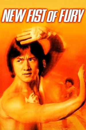 New Fists of Fury 1976 Dual Audio Hindi BluRay 360MB