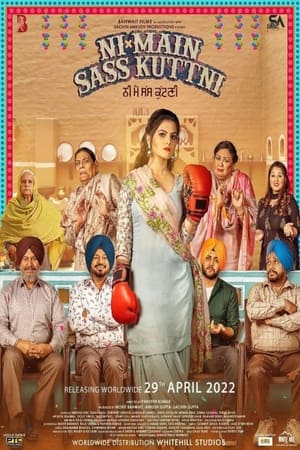 Ni Main Sass Kuttni 2022 Punjabi Audio WEB-DL – 480p