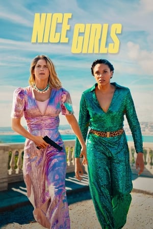 Nice Girls 2024 Hindi Dual Audio HDRip – 720p – 480p