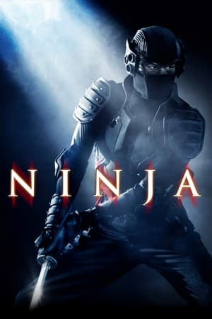 Ninja (2009) Hindi Dual Audio HDRip – 480p