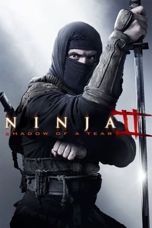 Ninja Shadow of a Tear 2013 Hindi Dual Audio BluRay [800MB]
