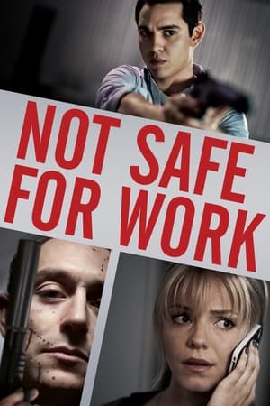 Not Safe for Work 2014 Hindi Dual Audio BluRay [590MB]