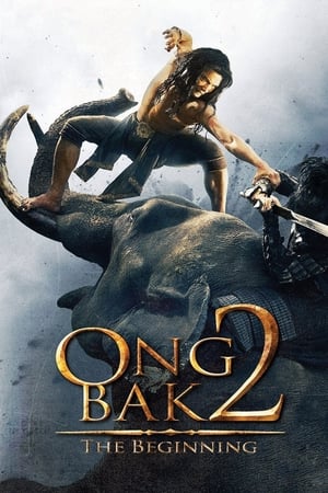 Ong Bak 2 (2008) Hindi Dual Audio BluRay 330MB