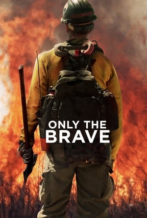 Only the Brave 2017 Hindi Dual Audio HDRip – 480p