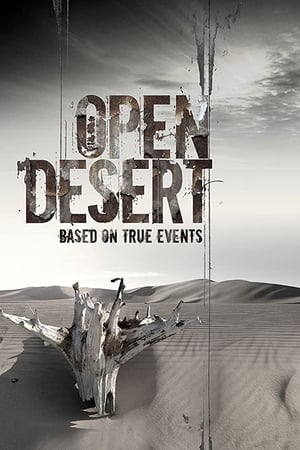 Open Desert (2013) Hindi Dual Audio HDRip – 480p