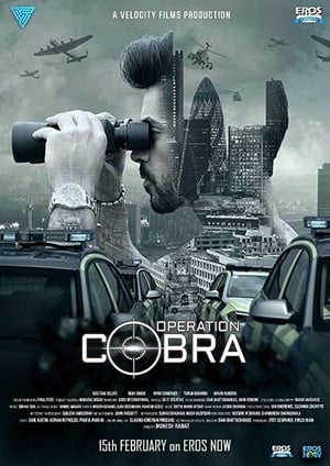 Operation Cobra (2019) Season 1 Hindi HDRip & 480p [Complete]