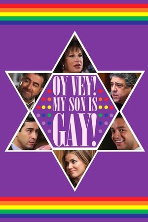 Oy Vey! My Son Is Gay!! (2009) Hindi Dual Audio Web-DL [860MB]