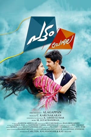 Pattam Pole (2013) (Hindi – Malayalam) Dual Audio UnCut HDRip [1.2GB]