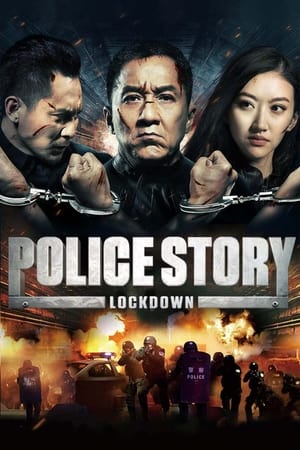Police Story: Lockdown (2013) Hindi Dual Audio BluRay 380MB