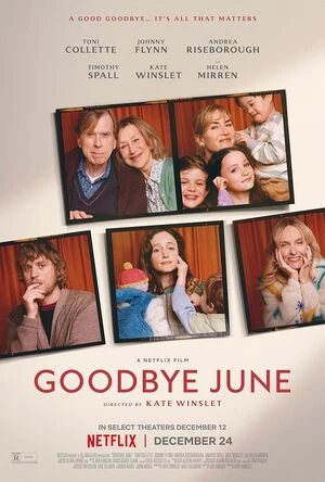 Goodbye June 2025 Hindi Dual Audio WEB-DL