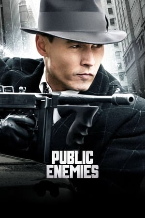 Public Enemies (2009) Hindi Dual Audio BluRay 400MB