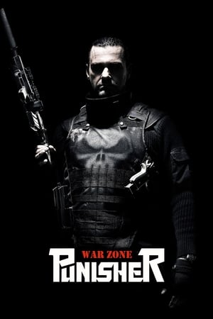 Punisher: War Zone (2008) Hindi Dual Audio BluRay 340MB