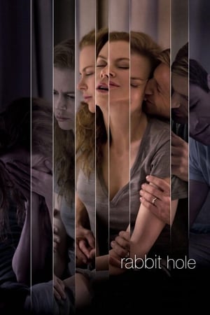 Rabbit Hole (2010) Hindi Dual Audio BluRay [750MB] ESubs