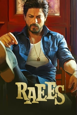 Raees (2017) 400MB Full Movie DVDRip Download