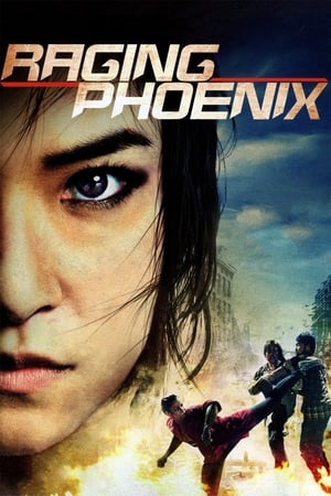 Raging Phoenix (2009) Hindi Dual Audio HDRip 350MB