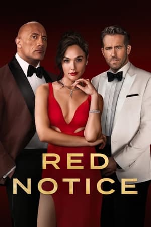 Red Notice (2021) Hindi Dual Audio HDRip [1.1GB]