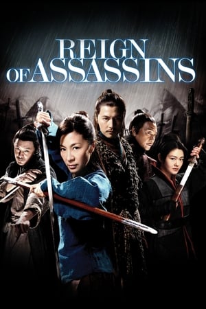Reign Of Assassins (2010) Hindi Dual Audio BluRay [1GB]