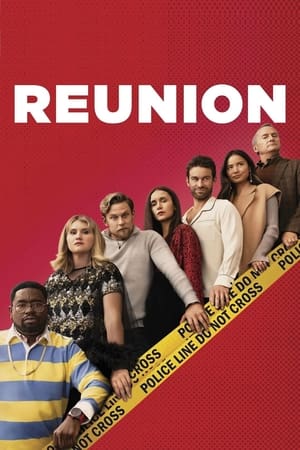 Reunion (2024) Hindi Dual Audio HDRip – 720p – 480p