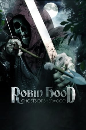 Robin Hood: Ghosts of Sherwood (2012) Hindi Dual Audio BluRay 350MB