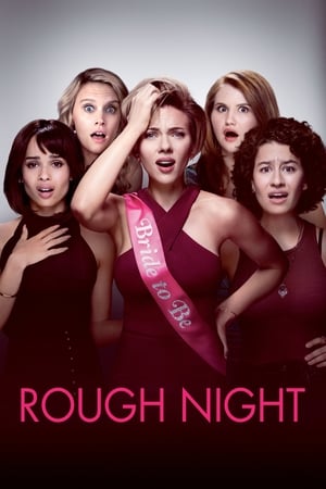 Rough Night (2017) Hindi Dual Audio BluRay 400MB