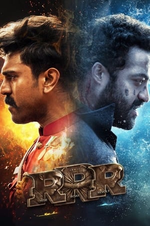RRR (2022) Hindi (ORG) Movie HDRip – 480p – 1080p