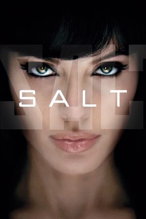 Salt (2010) Hindi Dual Audio BluRay [800MB]