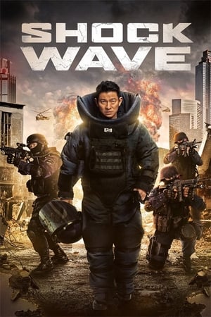 Shock Wave (2017) Hindi Dual Audio BluRay [1.1GB]