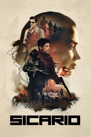 Sicario 2015 Hindi Dual Audio BluRay 350MB