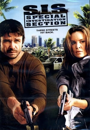 SIS Special Investigation Section 2008 Hindi Dual Audio BluRay 270MB