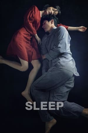 Sleep (2023) Hindi Dual Audio HDRip – 720p – 480p