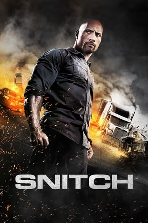 Snitch (2013) Hindi Dual Audio BluRay [930MB]
