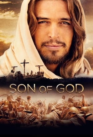 Son of God 2014 Hindi Dual Audio BluRay [980MB]