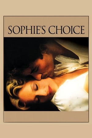 Sophie's Choice (1982) Dual Audio Hindi Full Movie BluRay - 1.1GB