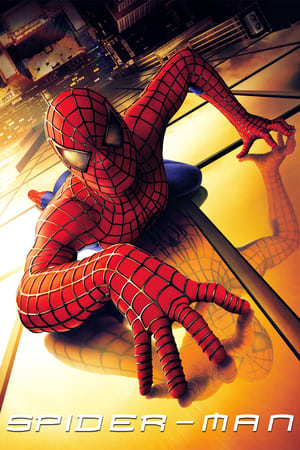 Spider Man (2002) Hindi Dual Audio Bluray [800MB] Download
