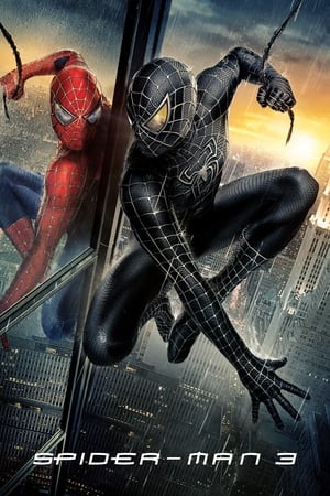 Spider-Man 3 (2007) Movie Hindi Dual Audio Bluray [800MB]