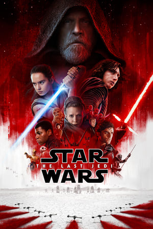 Star Wars The Last Jedi 2017 Dual Audio Hindi ORG BluRay 450MB