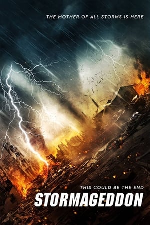 Stormageddon (2015) Hindi Dual Audio BluRay [1.1GB]