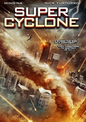 Super Cyclone (2012) Hindi Dual Audio HDRip – 480p